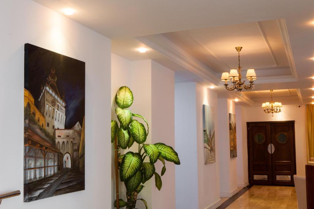 Hotel Rex سيفِسوارا المظهر الخارجي الصورة